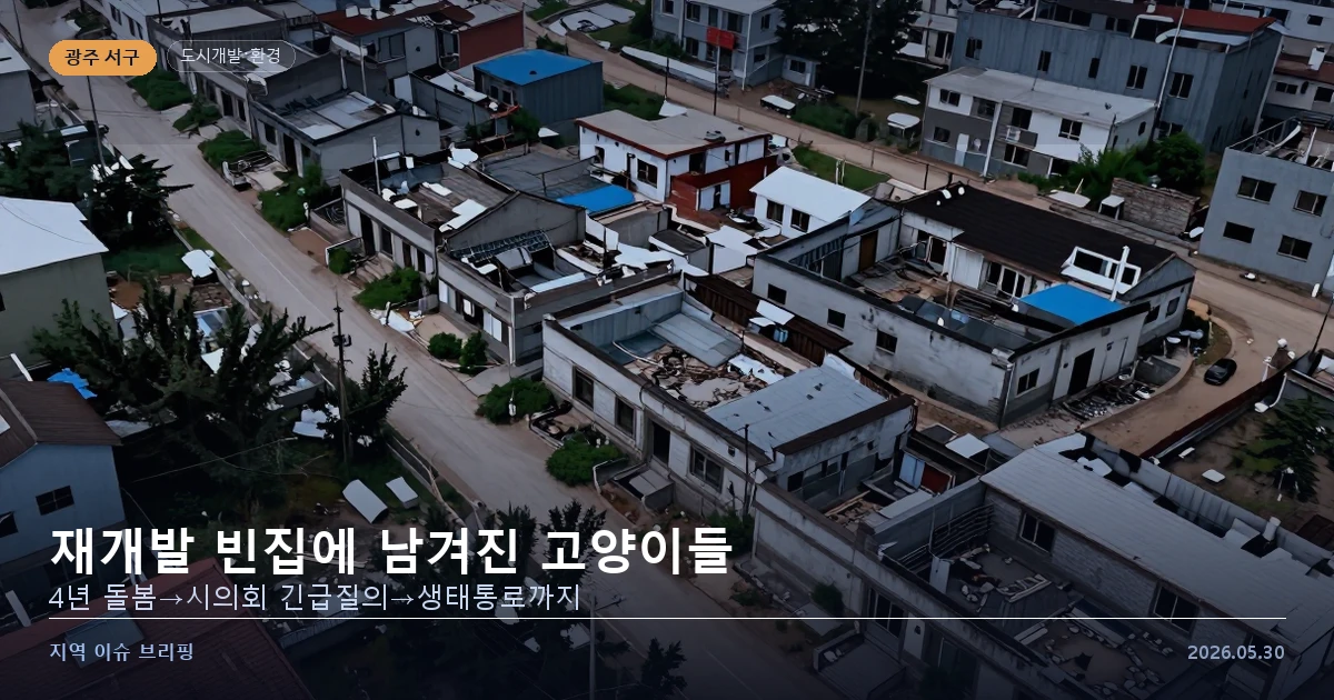 광주 광천동 재개발구역 빈집과 길고양이